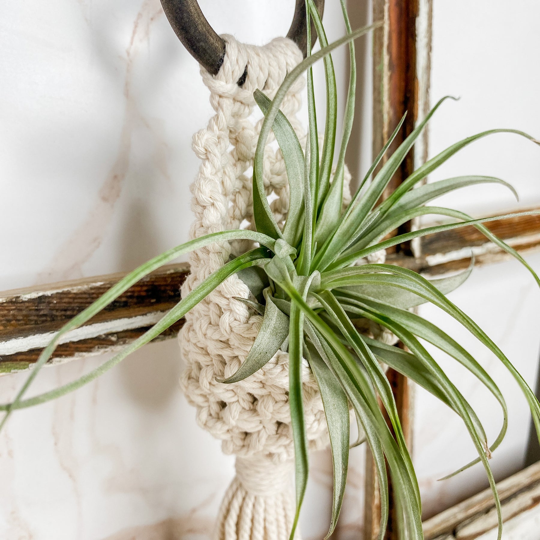 macrame pocket plant hanger Macramé Pocket Air Plant Hangers – The Cottonseed Marketplace