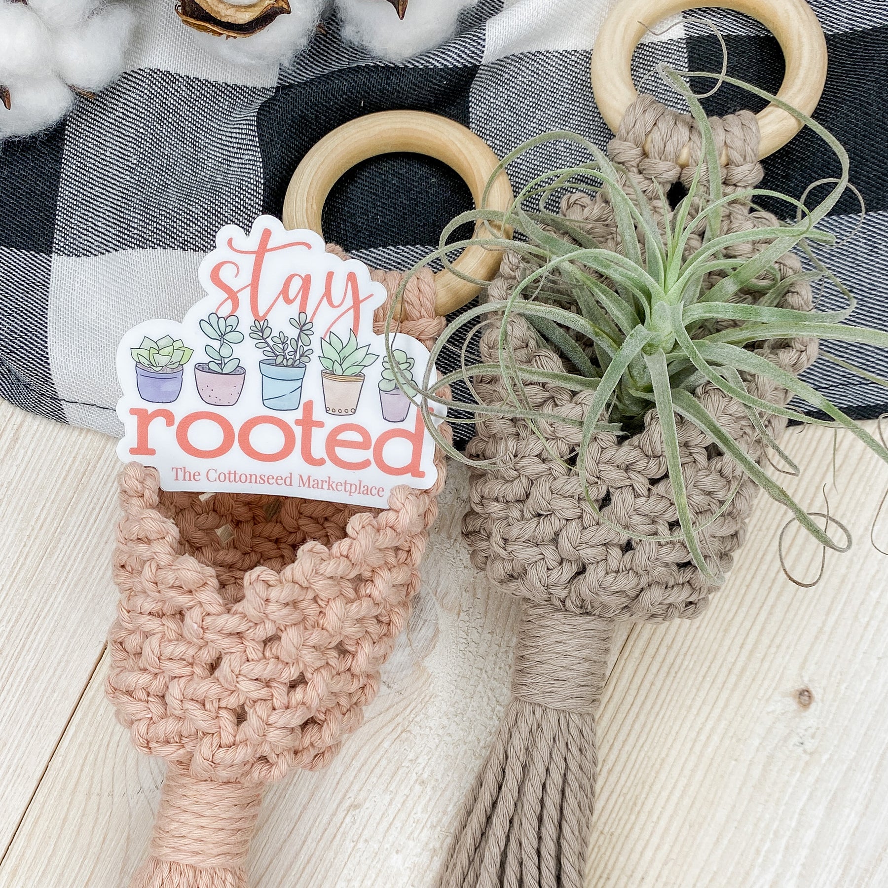 house plants for hanging pots Macramé Pocket Air Plant Hangers