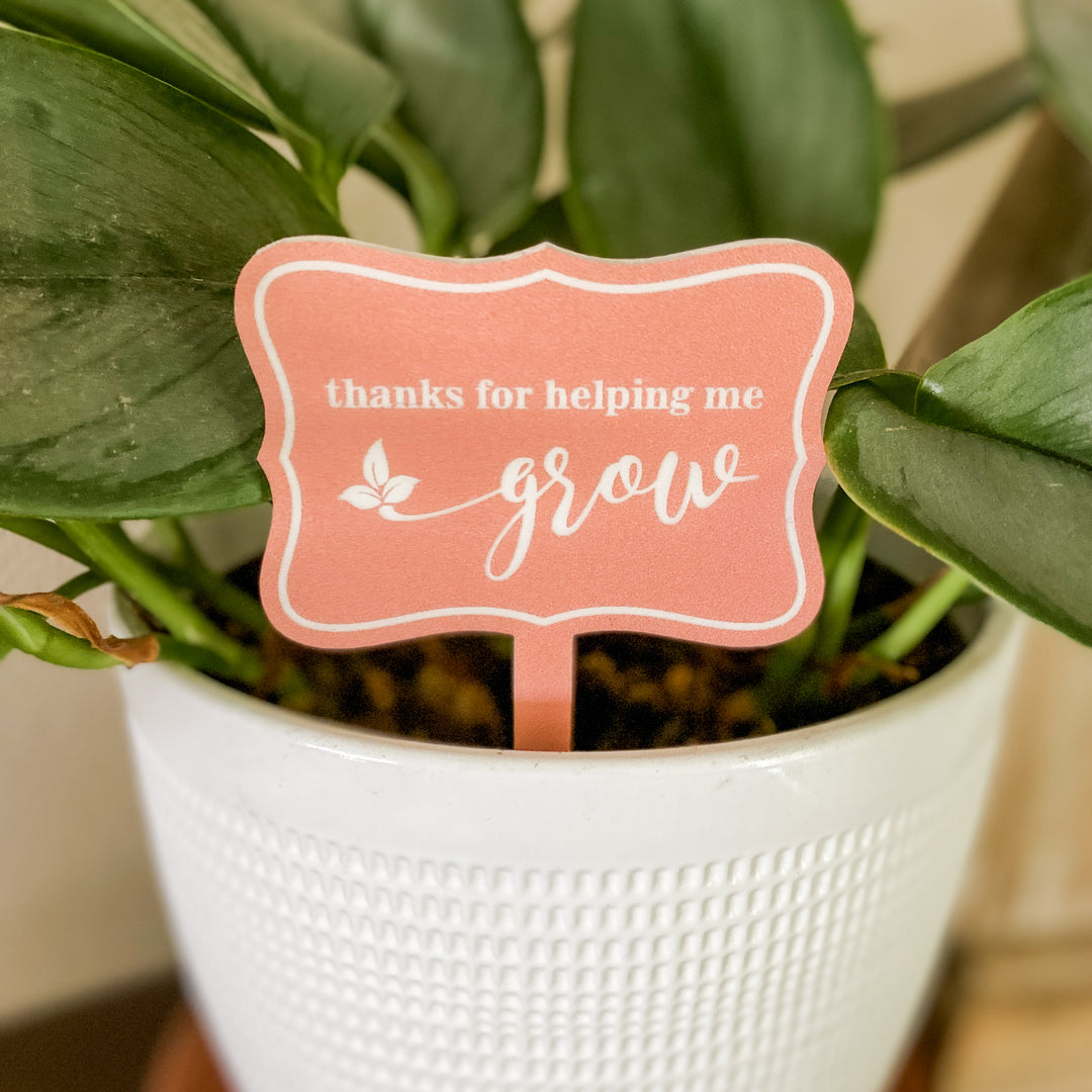 succulent thank you for helping me grow Thank You for Helping Me Grow Acrylic Plant Tag – The Cottonseed Marketplace