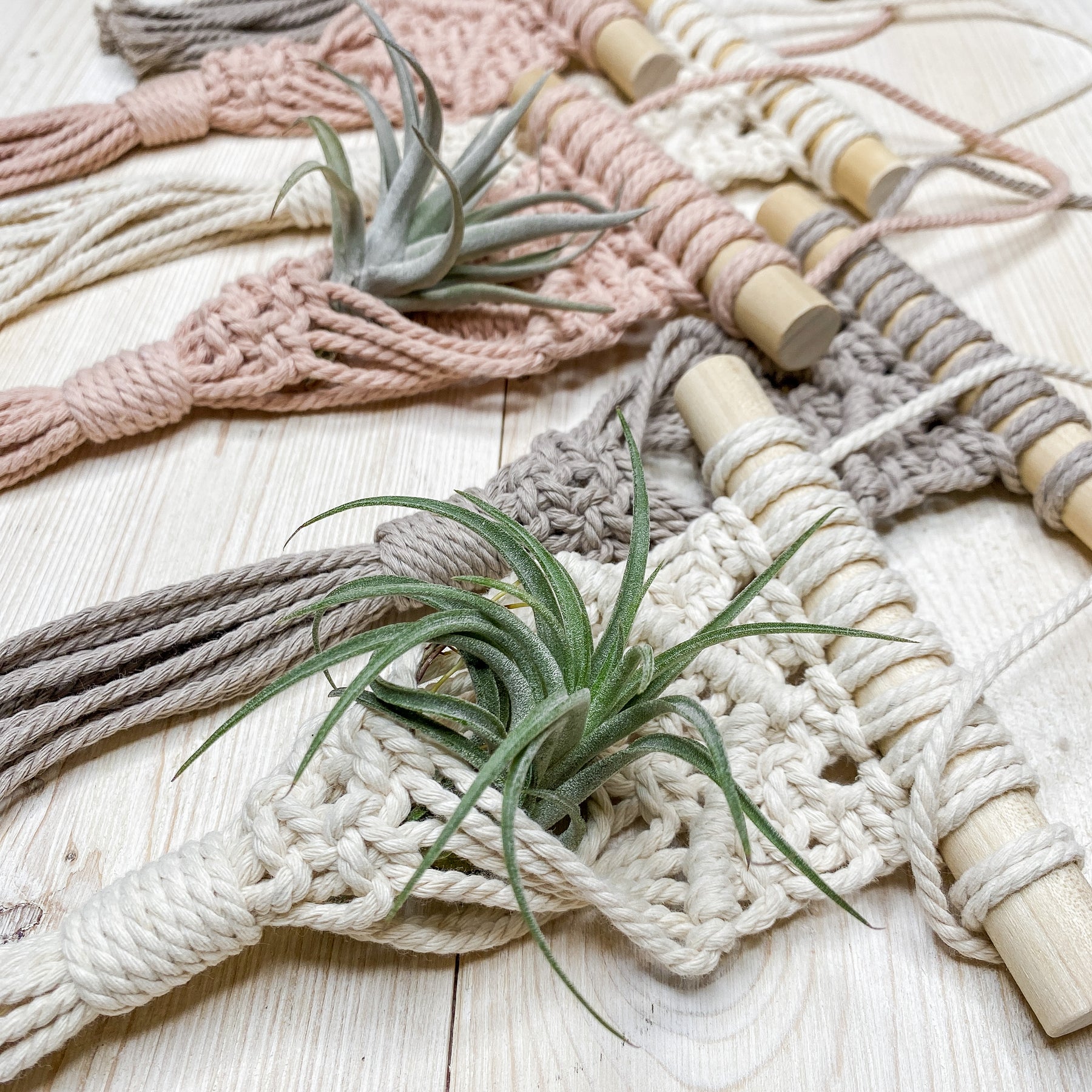 mini macrame air plant hanger Macramé Mini Air Plant Hangers – The Cottonseed Marketplace