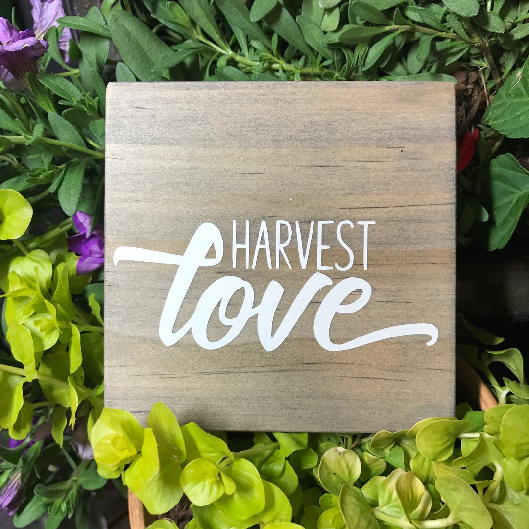 Plant Smiles, Grow Laughter, outlet Harvest Love SIgn